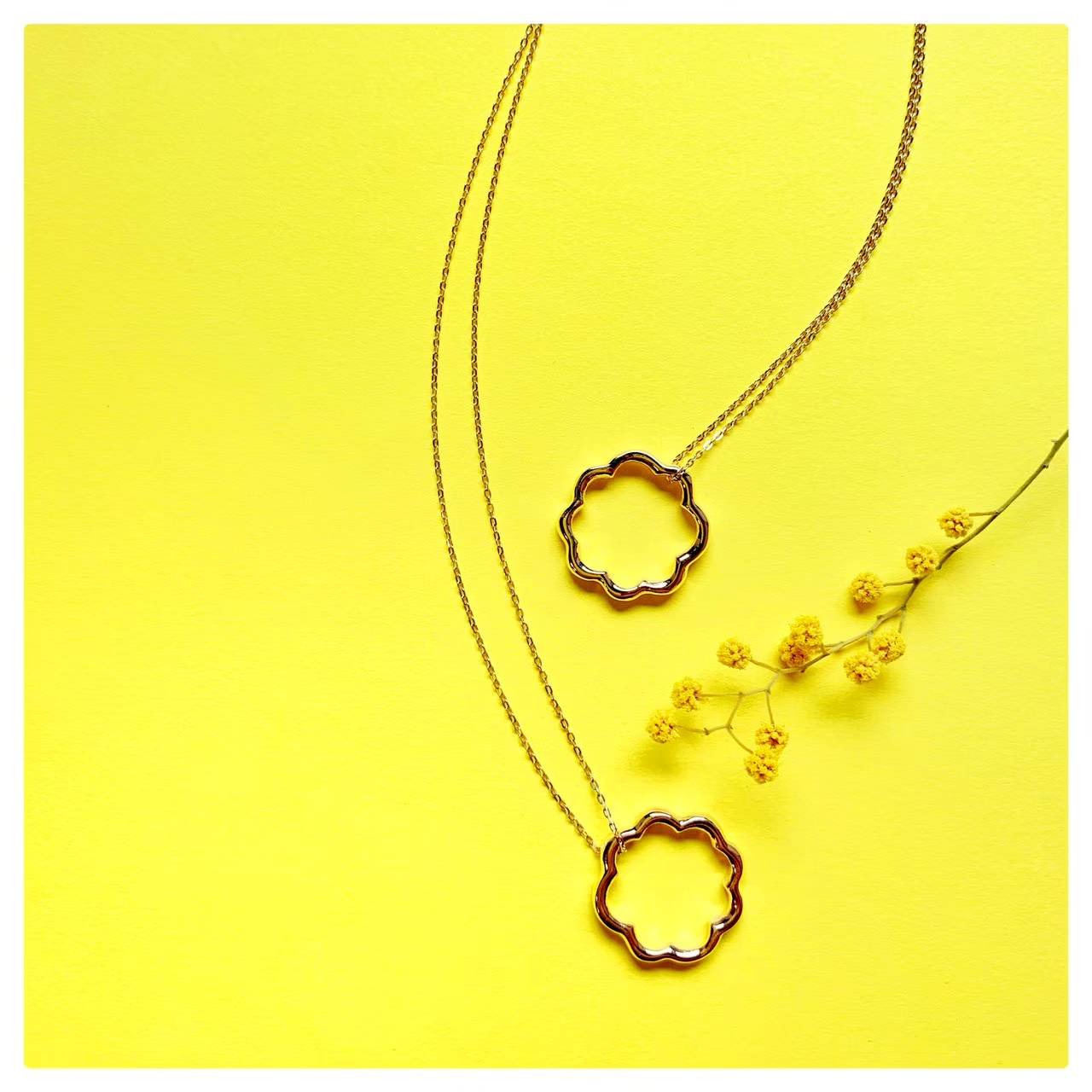 輝きを繋ぐ、ミモザのリズム