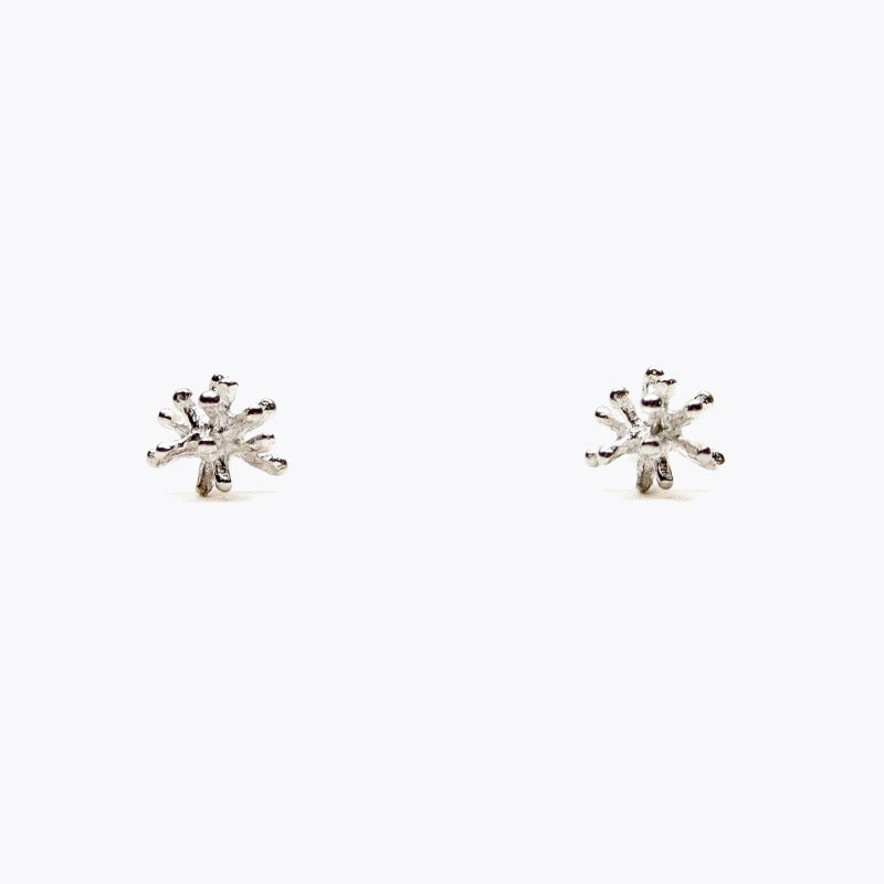 Stardust earrings/silver